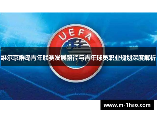 维尔京群岛青年联赛发展路径与青年球员职业规划深度解析