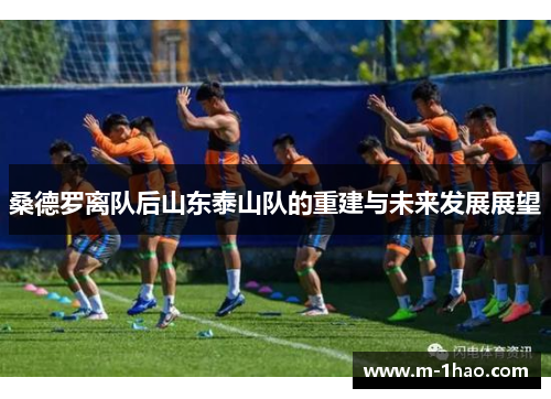 桑德罗离队后山东泰山队的重建与未来发展展望