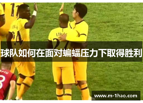 球队如何在面对蝙蝠压力下取得胜利