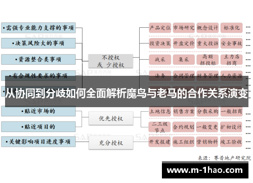 从协同到分歧如何全面解析魔鸟与老马的合作关系演变